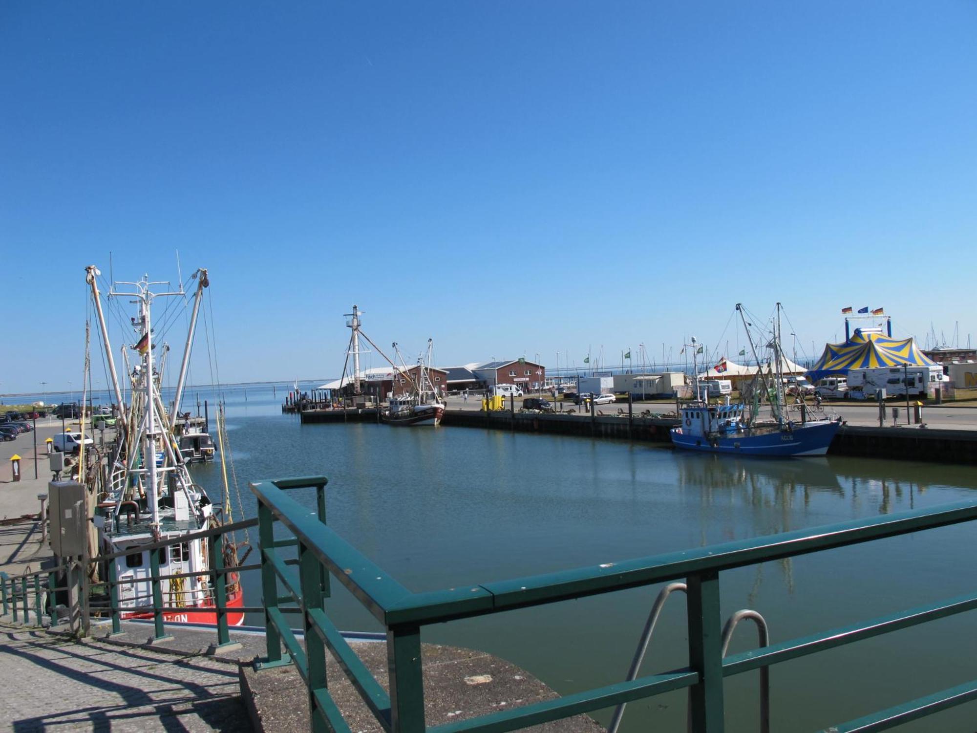 Reihenhaus Meta Dorn101 Naehe Dornumersiel An Der Nordsee Exterior foto